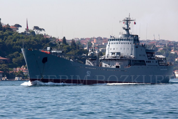 KB-15-06-25-Alligator-0005